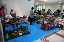 大学祭